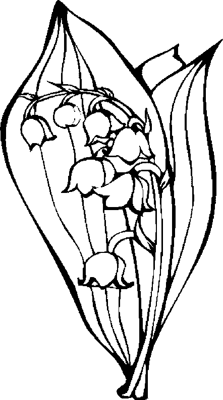coloriage brin de muguet